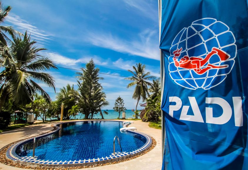Choosing the Best Dive School in Koh Tao STINGY NOMADS