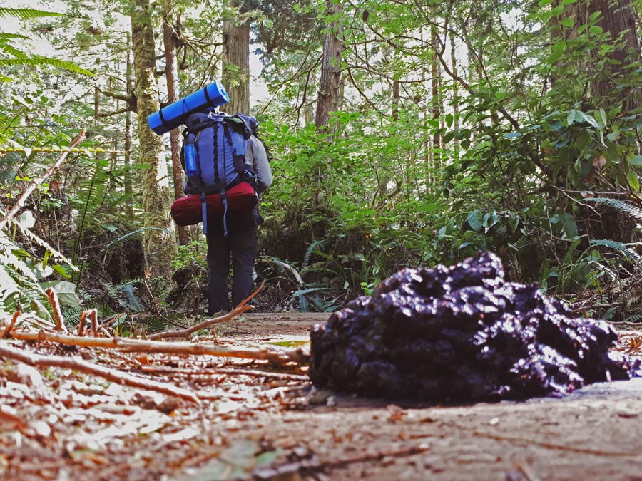 Bear poop juan de fuca stingy nomads