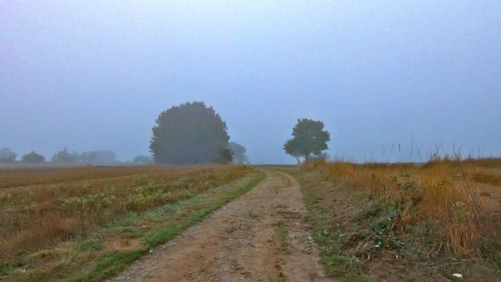 Early morning on the Camino de Santiago from Sarria