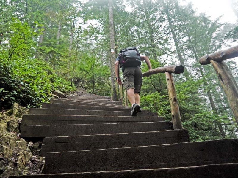 Grouse Grind a Information to Mountain climbing the Grouse Mountain