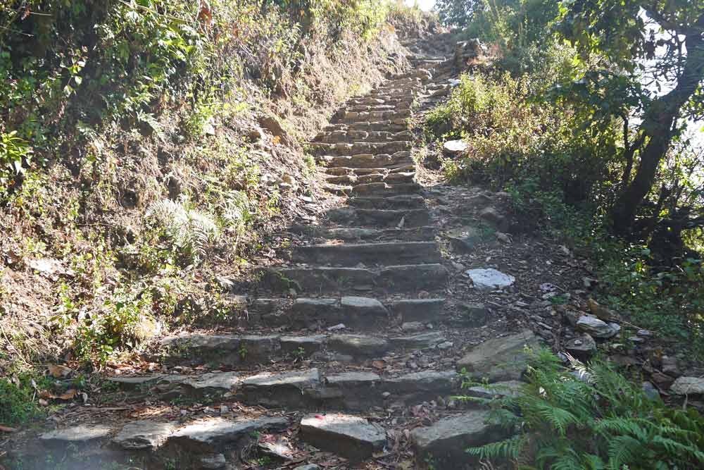 One of the many stairs on Annapurna Base Camp trek
