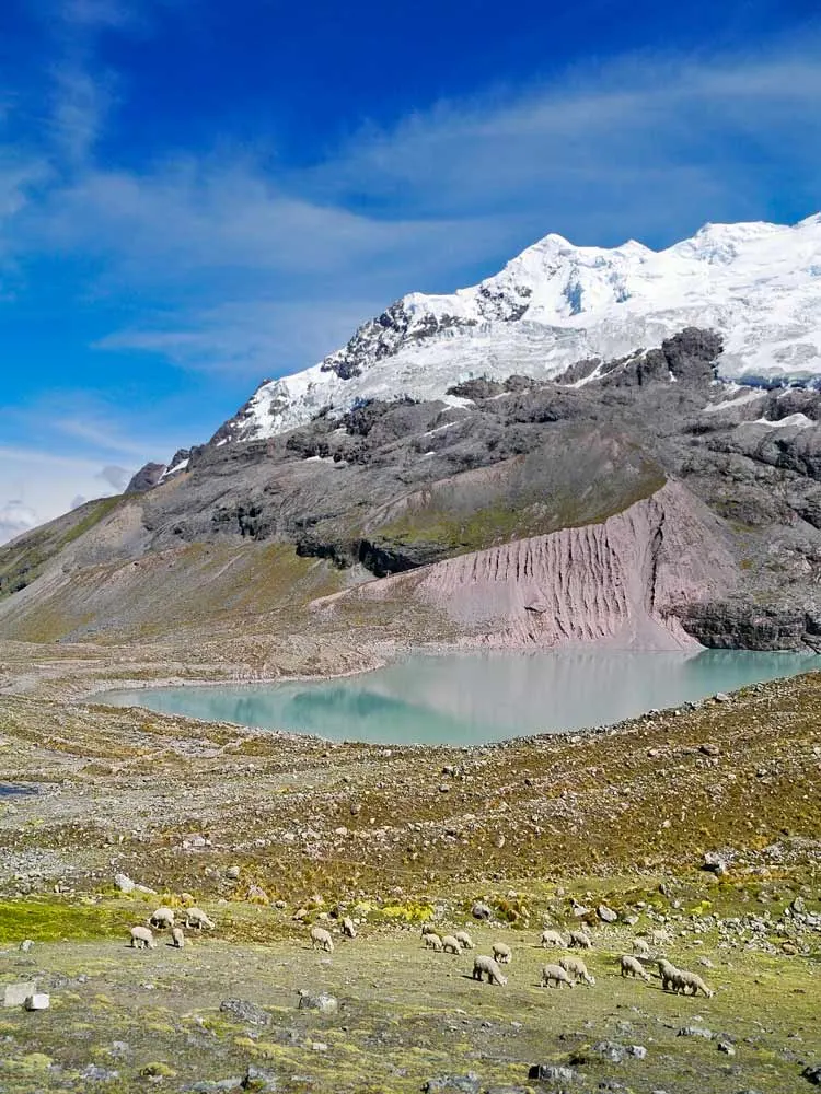 Beautiful Ausangate Lake and Glacier, one of the highlights of the trek