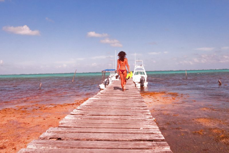 Xcalak Mexico Dive and Travel Guide STINGY NOMADS