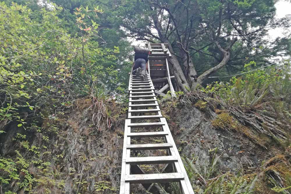 ladders west coast trail vancouver island