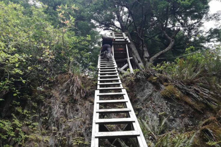 West Coast Trail Reservation - Booking the Trail 2024 - STINGY NOMADS
