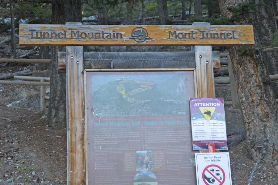 Tunnel mountain trailhead