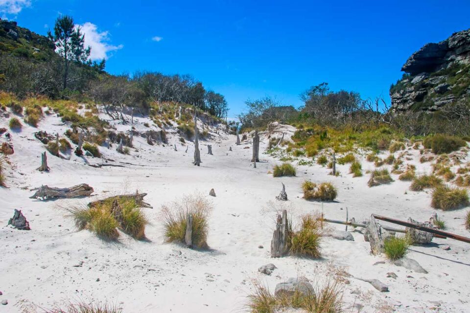 Kasteelspoort hiking trail on Table Mountain a 2023 guide STINGY NOMADS