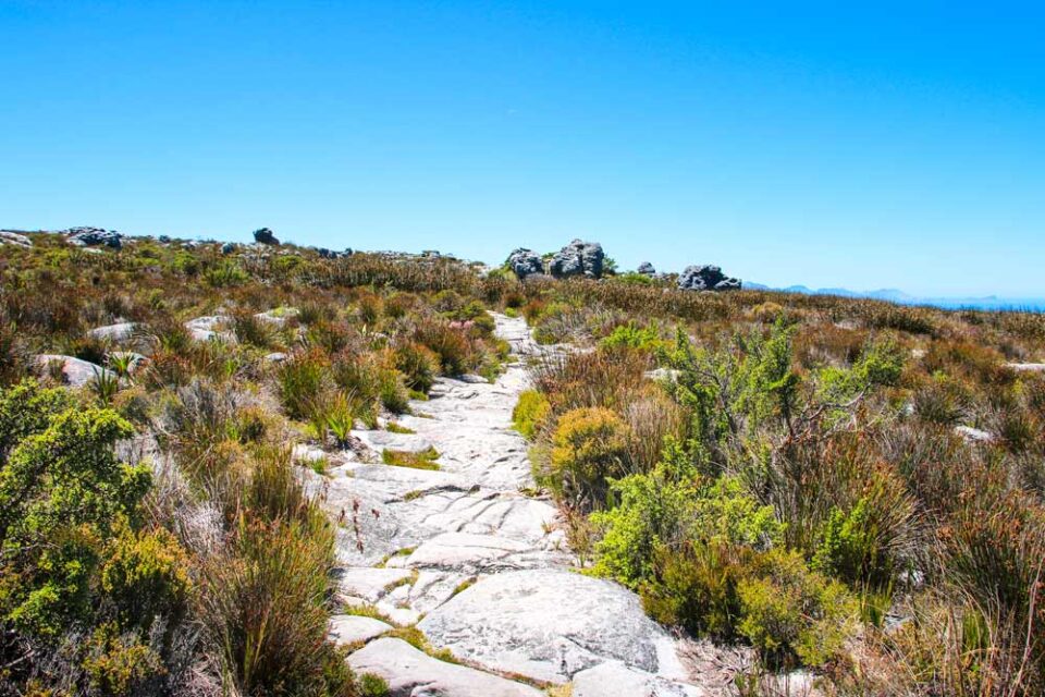 Kasteelspoort hiking trail on Table Mountain a 2023 guide STINGY NOMADS