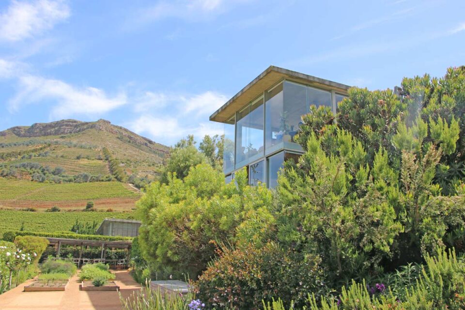 Complete Guide to Wine Tasting in Cape Town STINGY NOMADS