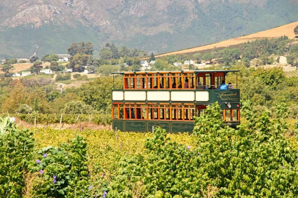 franschhoek wine tram