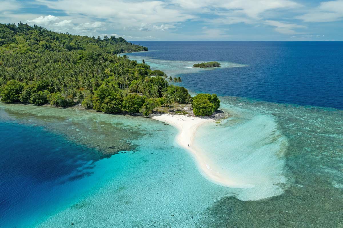 tropical island surrounded by crystal clear water and coral reefs
