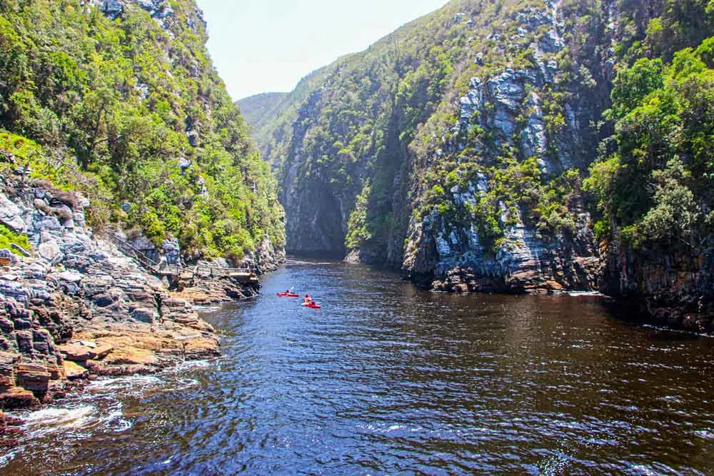 Two kayaks going down the river canyon at Storms River Mouth Rest Camp