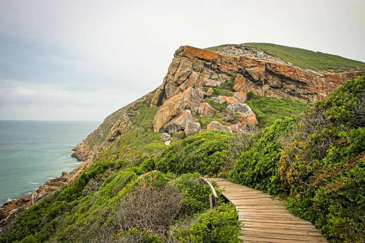 A boardwalk along the rocky cliffs with breathtaking views of the coast in Robberg Nature Reserve
