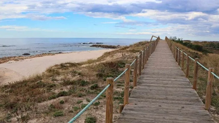 Wooden walkway along the coast on the Portuguese Camino route