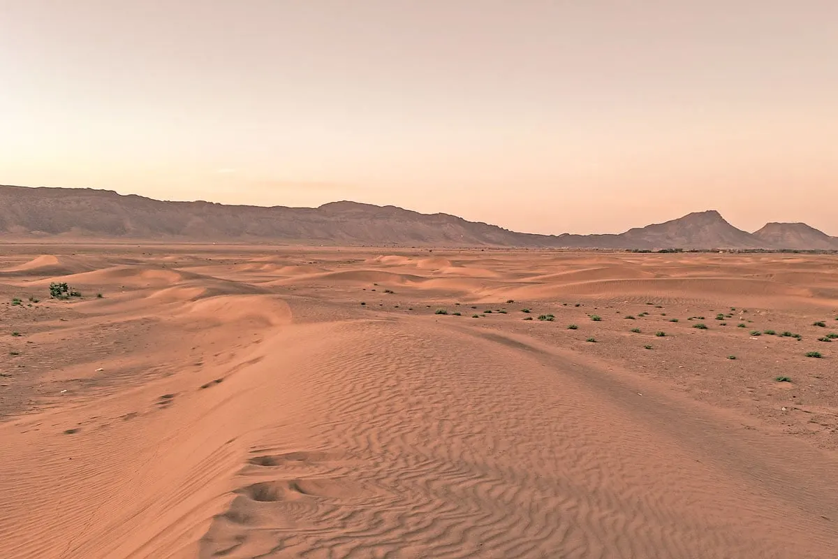 red sand dunes in the desert at sunrise