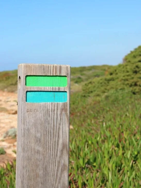 green and blue markings on a pole next to a hiking trail