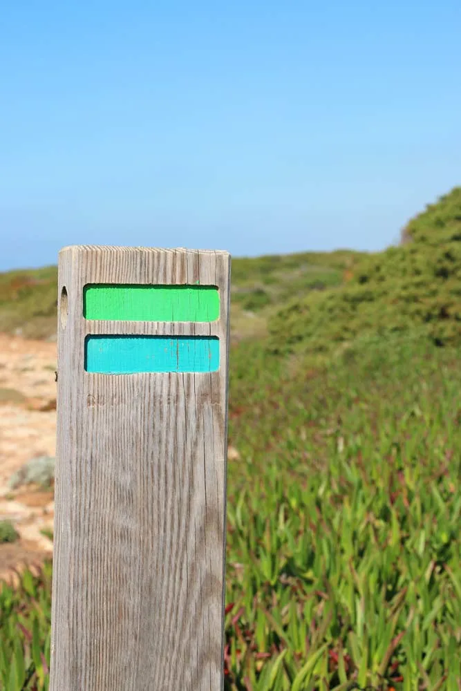 green and blue markings on a pole next to a hiking trail