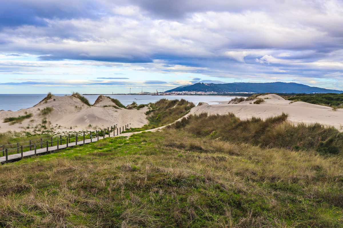 A wild coast with dunes on the Litoral Way in the north of Portugal