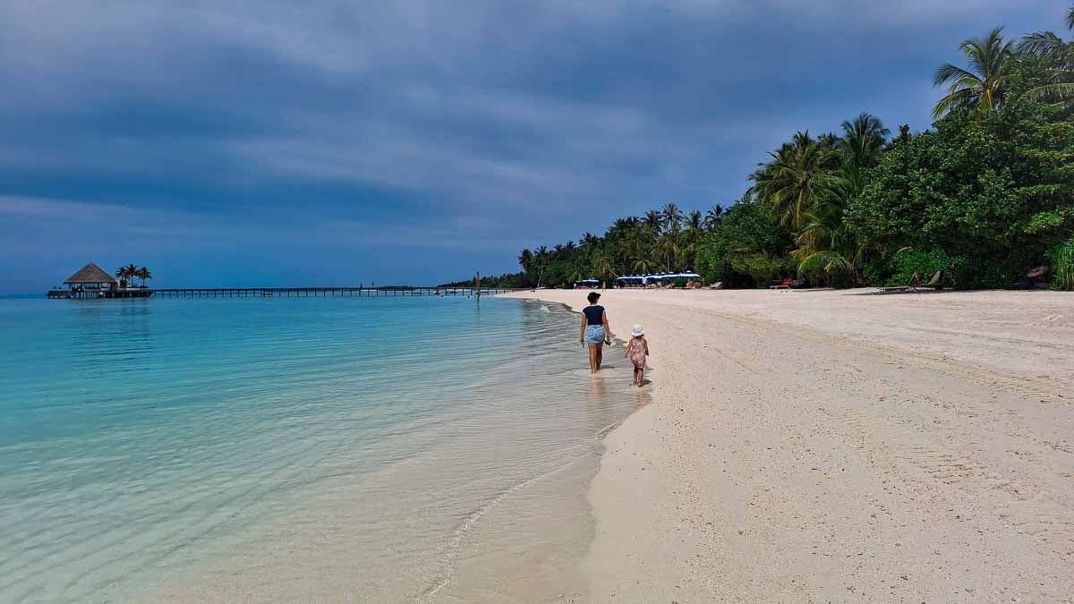 clear ocean, white beach next to green jungle