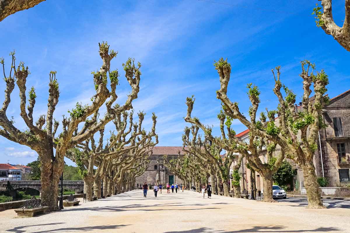 The historical center of Padron with the park and the church of Santiago