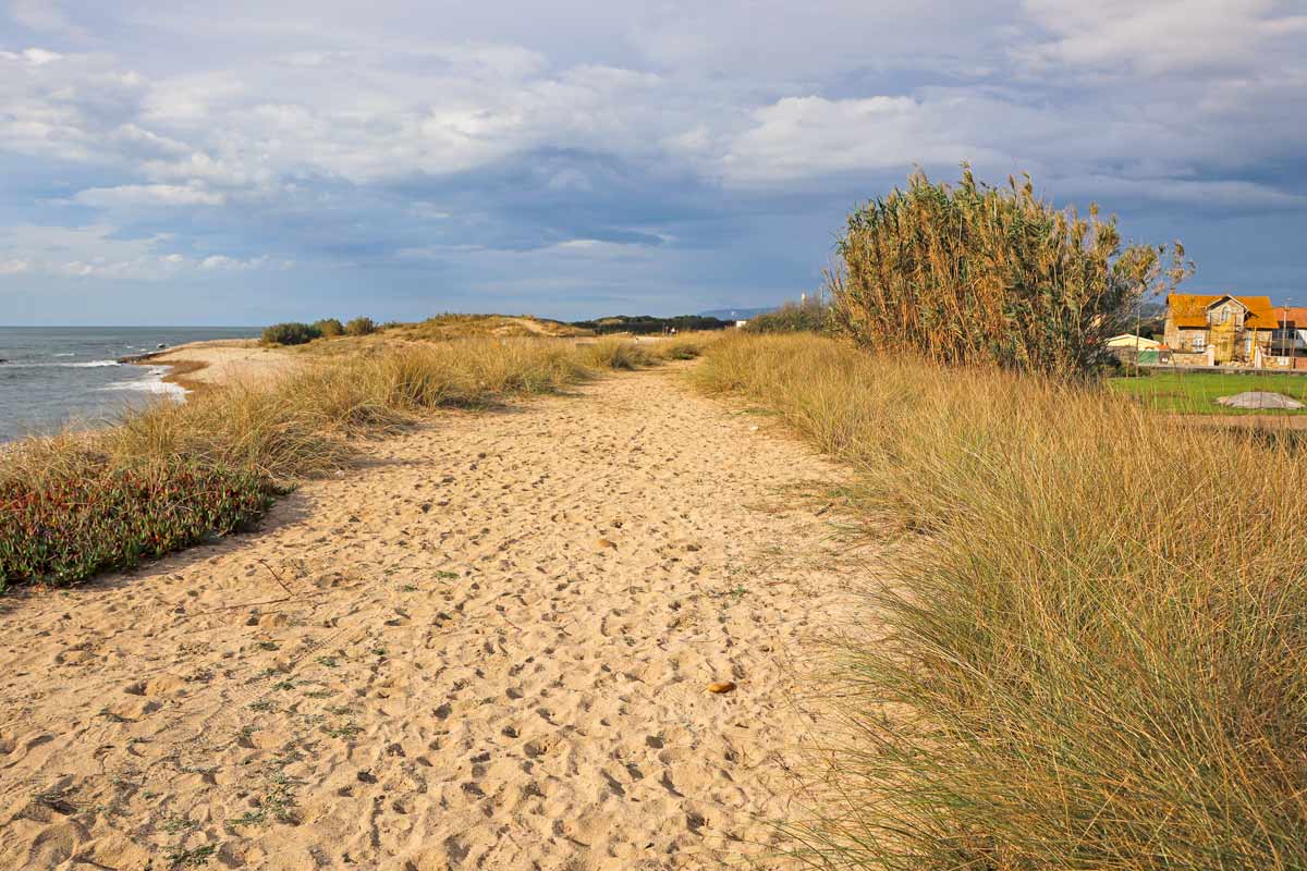 A sandy path between the sea and fields from Esposende to Viana do Castelo