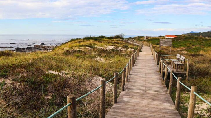 A boardwalk over the dunes along the coast of Northern Portugal