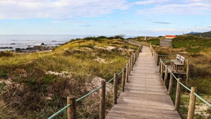 A boardwalk over the dunes along the coast of Northern Portugal