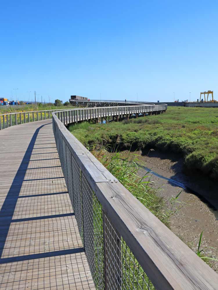 A long winding boardwalk through the wetlands along the Tagus River north of Lisbon