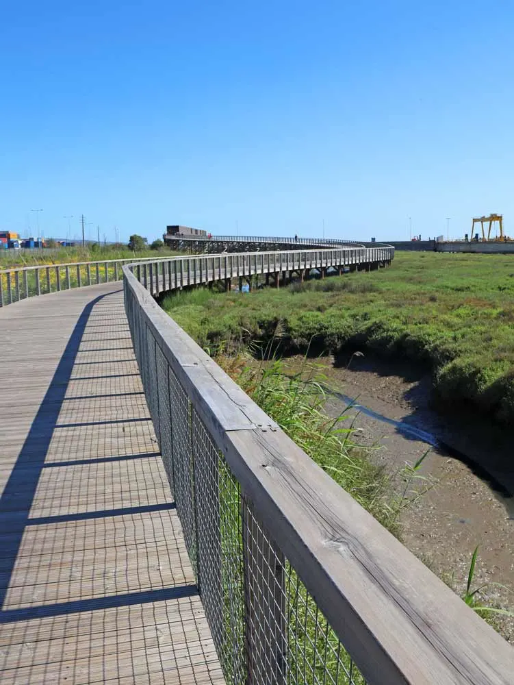 A long winding boardwalk through the wetlands along the Tagus River north of Lisbon