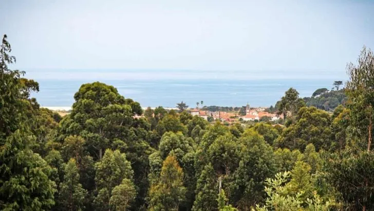 A sea scenery on the Coastal route from Porto