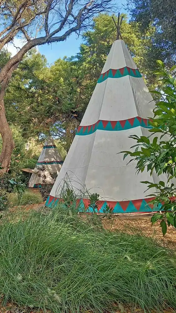tp tent in forest