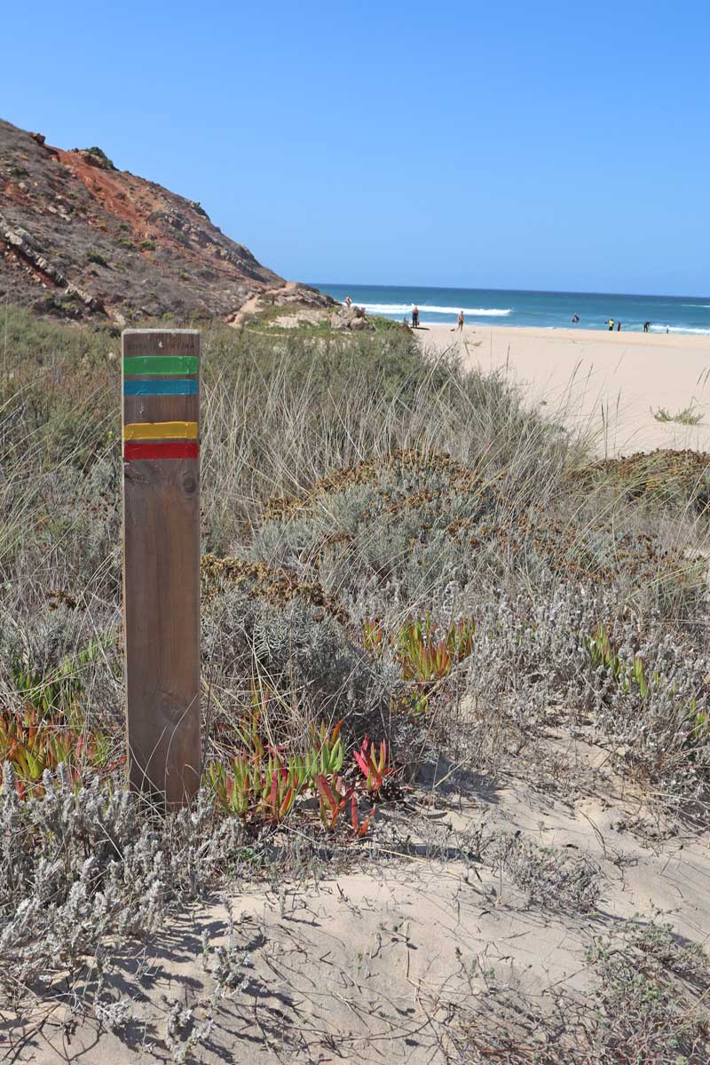 pole with blue and green and yellow and red markings with the ocean in the background