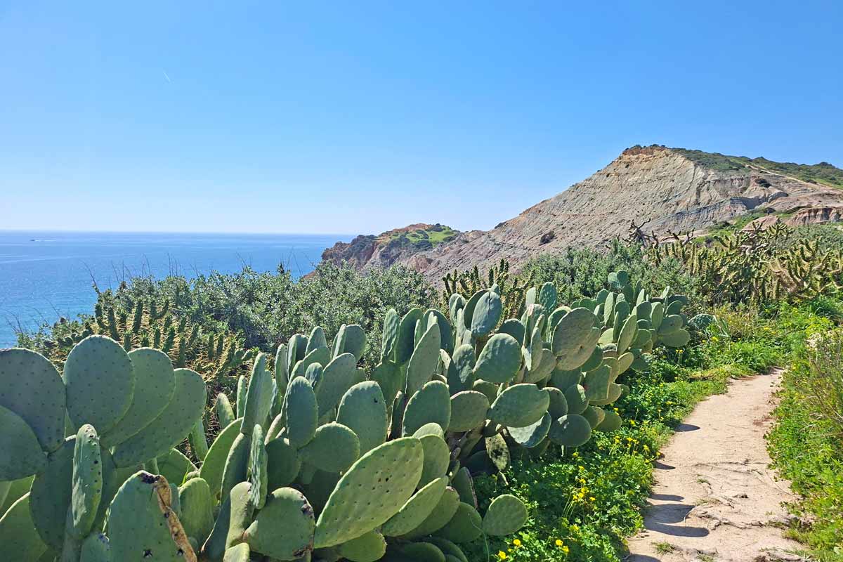 A narrow footpath along the cliffs on the trail from Luz to Salema