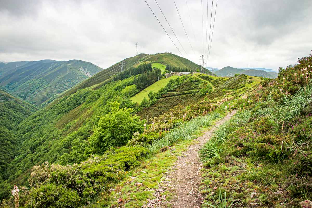 A footpath in the mountains on the Camino Primitivo