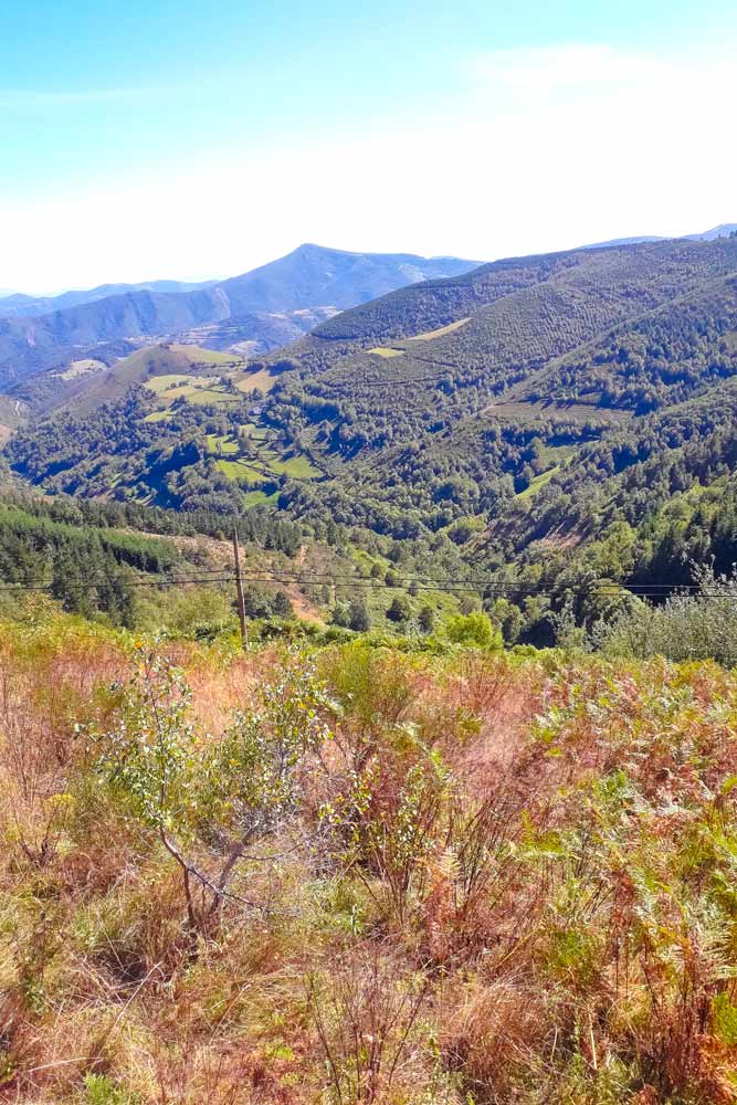 Hills covered in forest with mountains in the distance on the Camino Frances to O Cebreiro