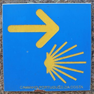 Camino arrow and shell sign yellow on blue