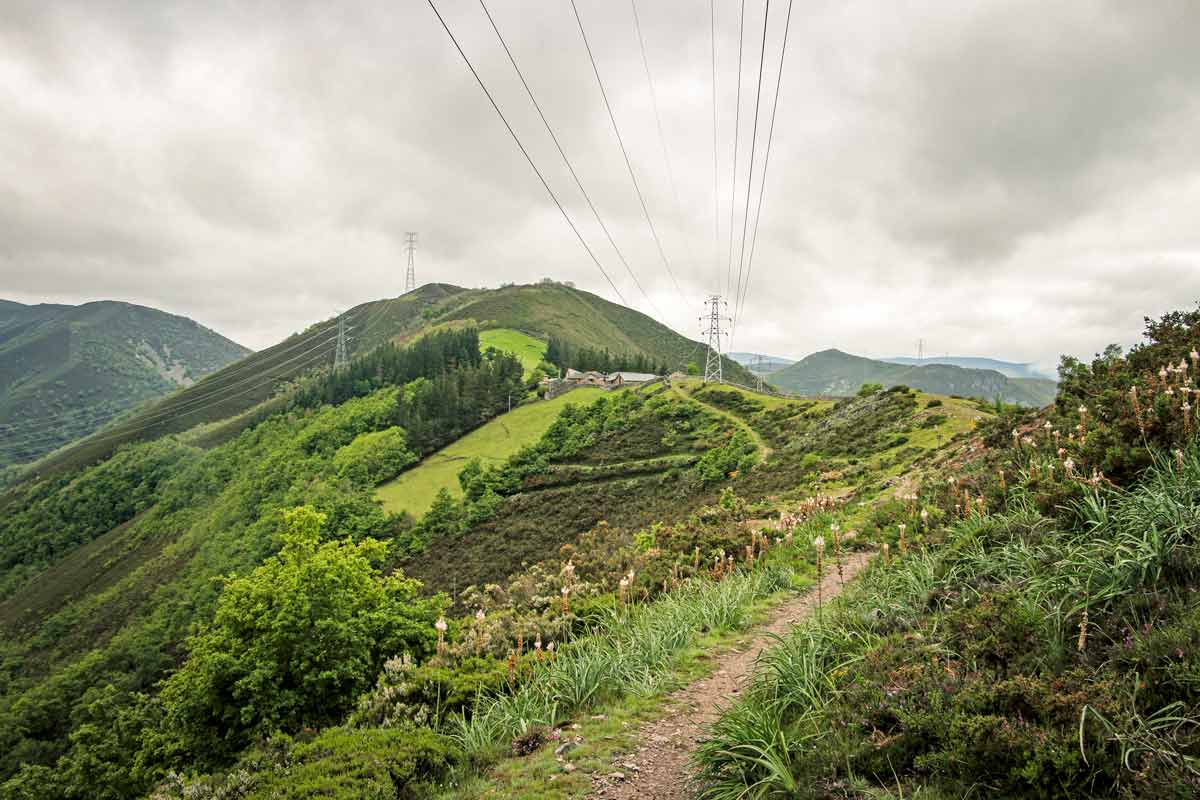 A footpath over the lush-green hills on the Camino Primitivo