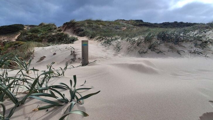 sand dune with green and blue fishermen's rail on wooden post