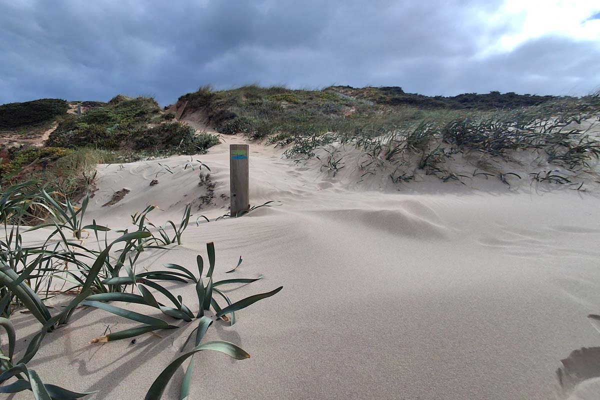 sand dune with green and blue fishermen's rail on wooden post
