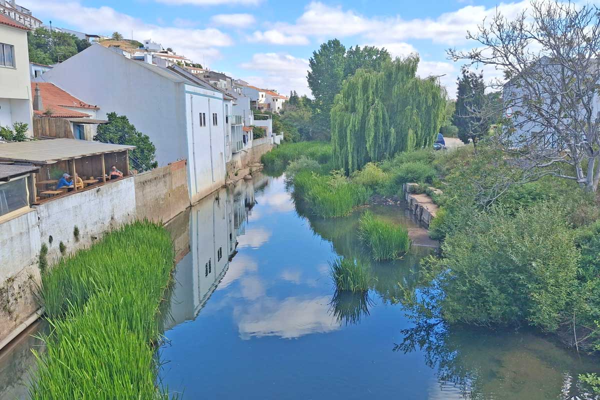 calm river with beautiful trees and some houses on the river banks