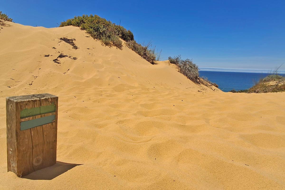 sand dune with wooden fishermens trail marker in the sand