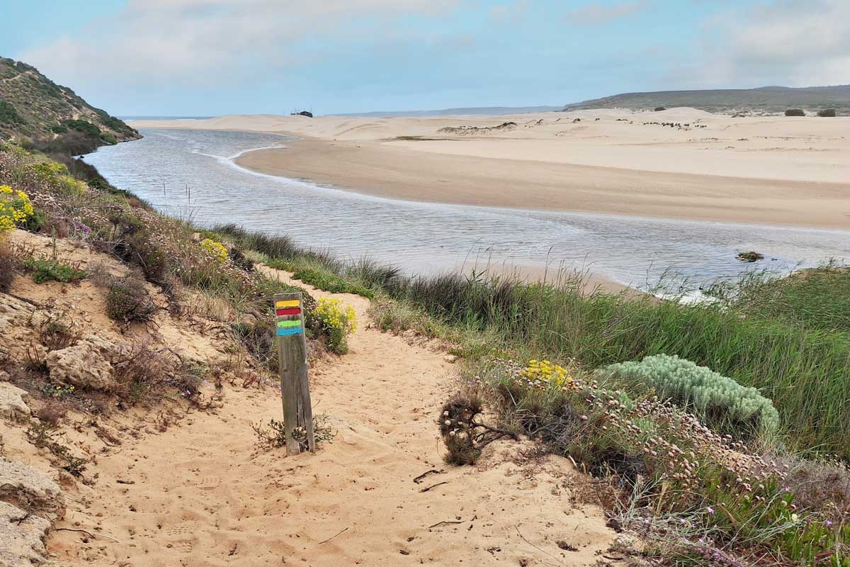 A single track trail next to a little tidal river going to a long white sandy beach