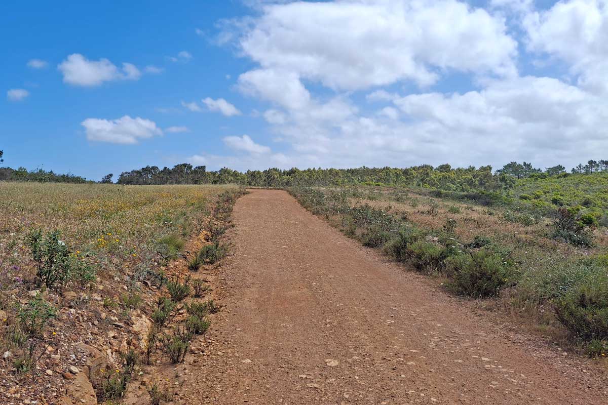 gravel road with no shade