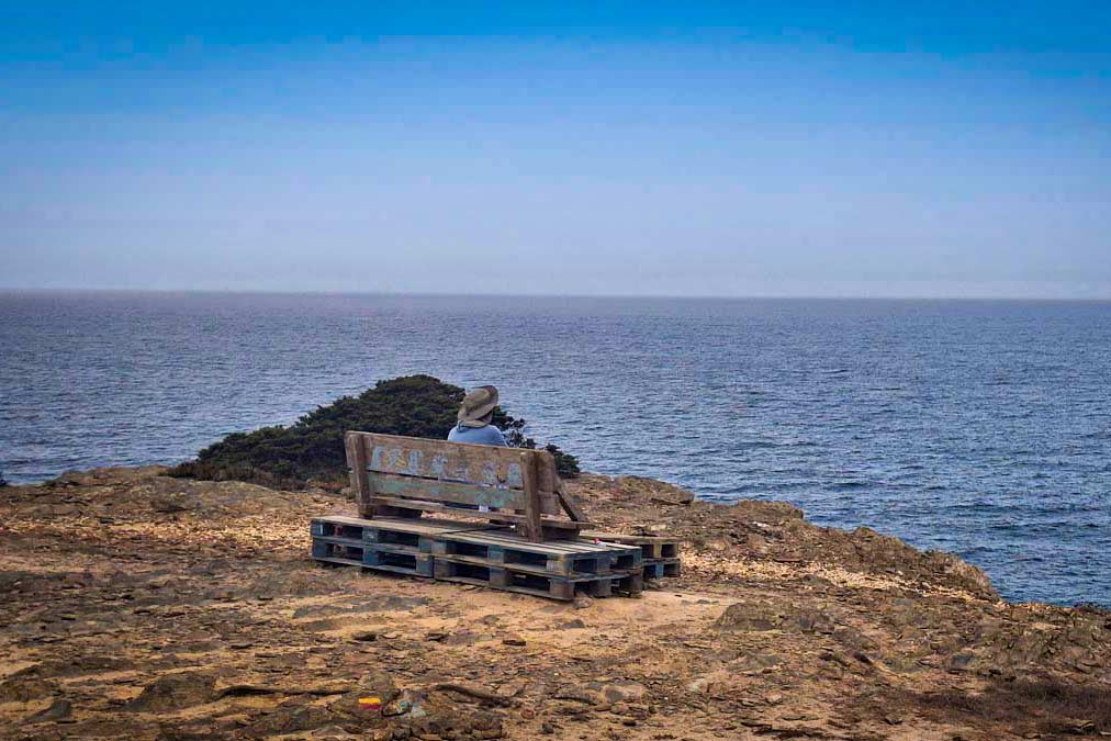 man sitting looking out over the ocean on a bench at a viewpoint
