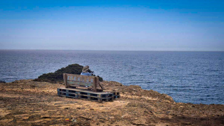 man sitting looking out over the ocean on a bench at a viewpoint